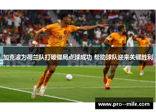 加克波为荷兰队打破僵局点球成功 帮助球队迎来关键胜利