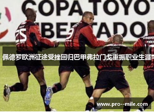 佩德罗欧洲征途受挫回归巴甲弗拉门戈重振职业生涯