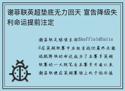 谢菲联英超垫底无力回天 宣告降级失利命运提前注定